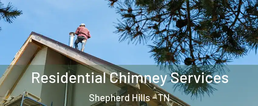 Residential Chimney Services Shepherd Hills - TN