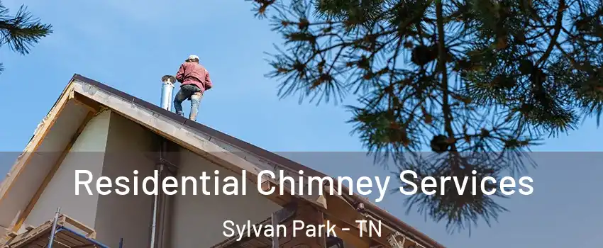 Residential Chimney Services Sylvan Park - TN