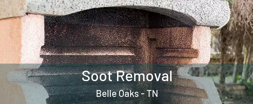 Soot Removal Belle Oaks - TN