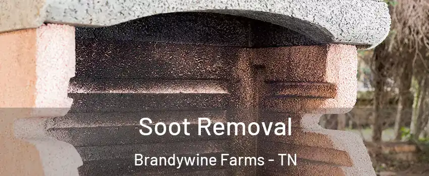 Soot Removal Brandywine Farms - TN