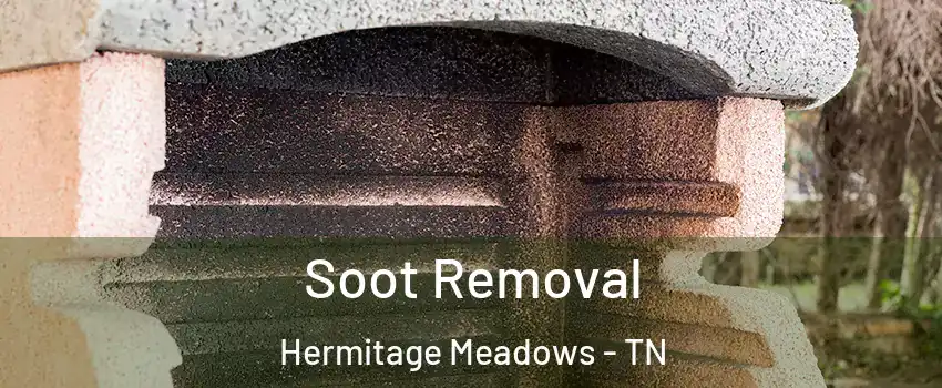 Soot Removal Hermitage Meadows - TN