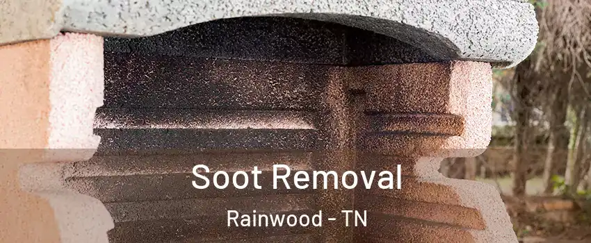 Soot Removal Rainwood - TN