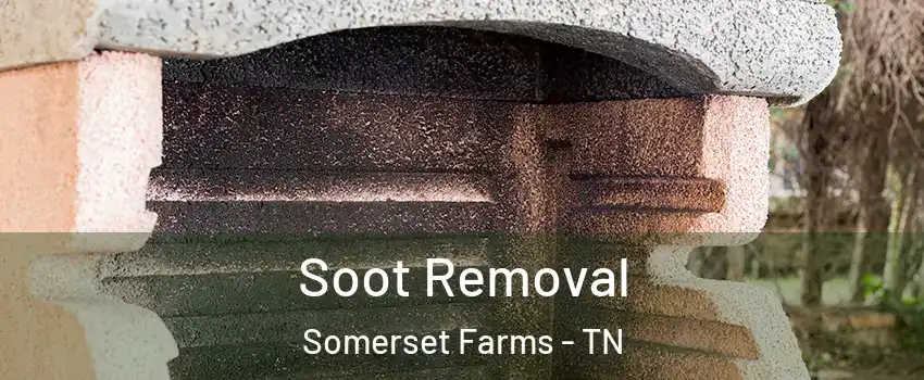 Soot Removal Somerset Farms - TN