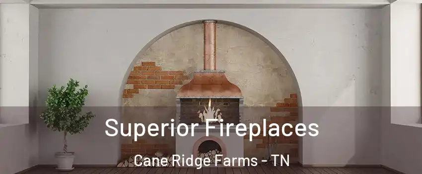 Superior Fireplaces Cane Ridge Farms - TN