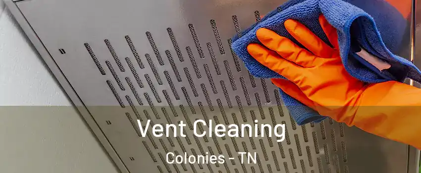 Vent Cleaning Colonies - TN