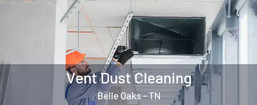 Vent Dust Cleaning Belle Oaks - TN