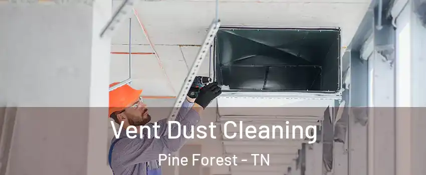 Vent Dust Cleaning Pine Forest - TN