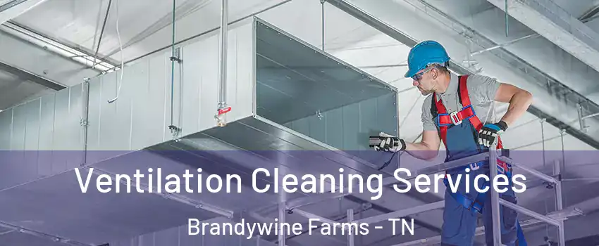 Ventilation Cleaning Services Brandywine Farms - TN