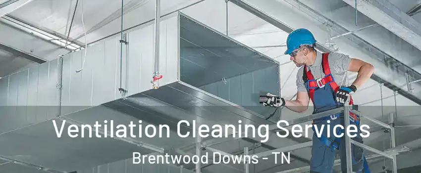 Ventilation Cleaning Services Brentwood Downs - TN