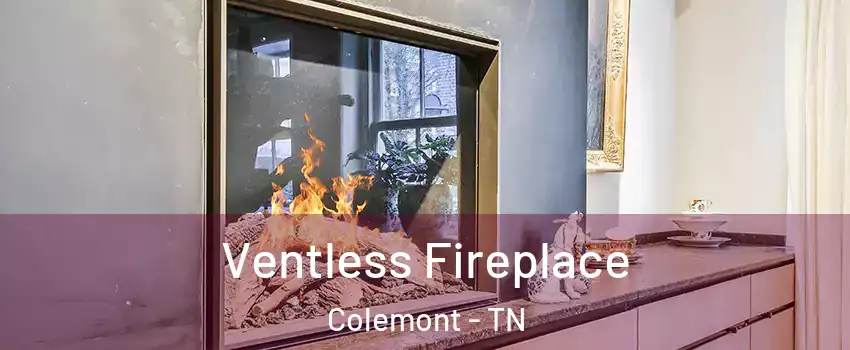 Ventless Fireplace Colemont - TN