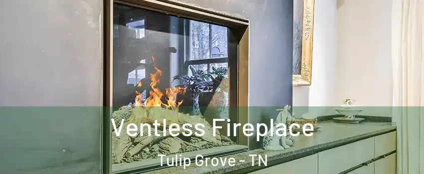 Ventless Fireplace Tulip Grove - TN