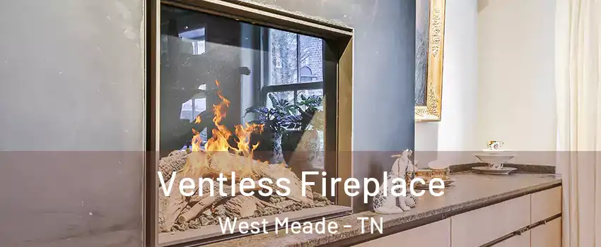 Ventless Fireplace West Meade - TN