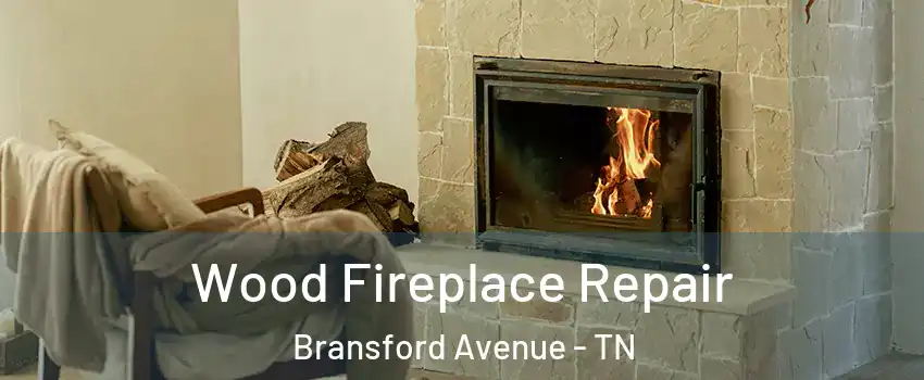 Wood Fireplace Repair Bransford Avenue - TN