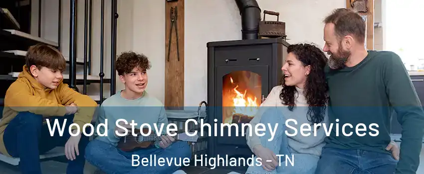 Wood Stove Chimney Services Bellevue Highlands - TN
