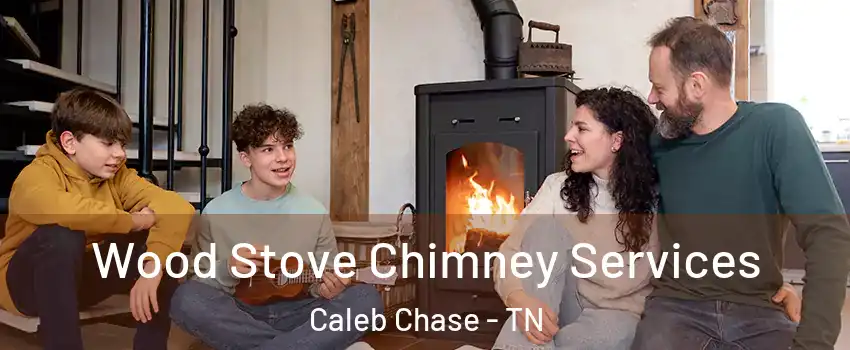 Wood Stove Chimney Services Caleb Chase - TN