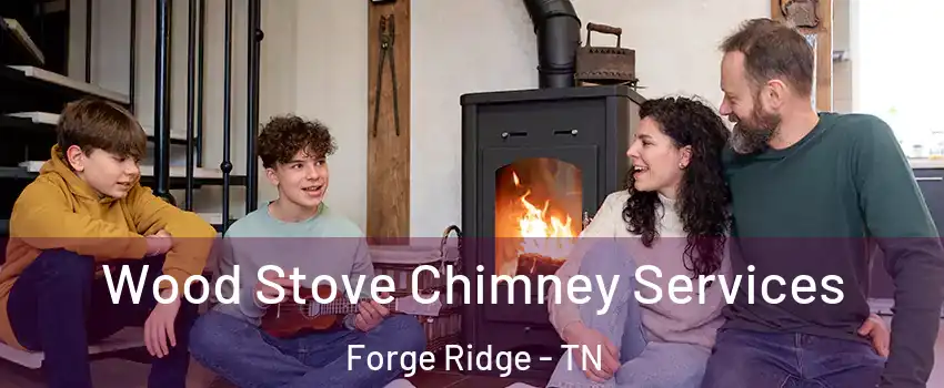 Wood Stove Chimney Services Forge Ridge - TN