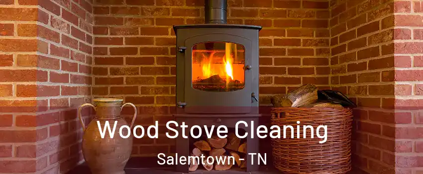 Wood Stove Cleaning Salemtown - TN
