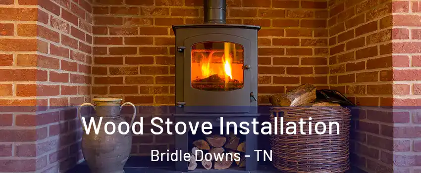 Wood Stove Installation Bridle Downs - TN