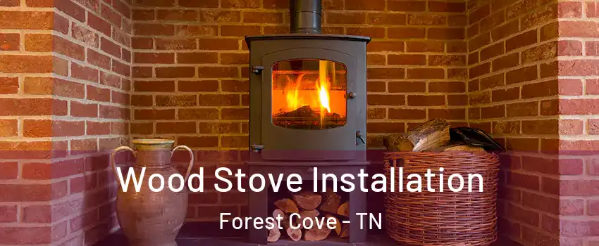 Wood Stove Installation Forest Cove - TN